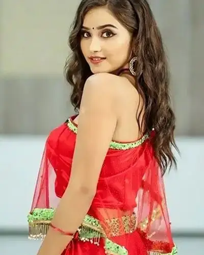 Call Girls Service Bhamragad
