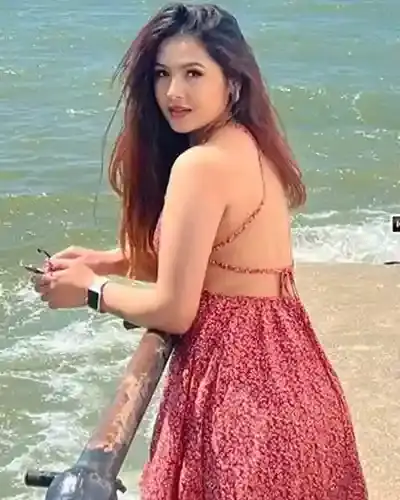 Call Girls in Bhamragad